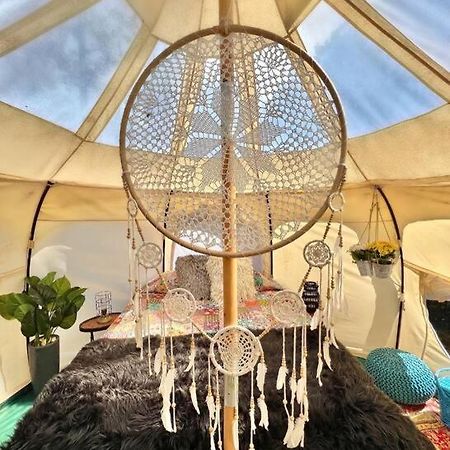 The Pisces-A Stargazing, Luxury Glamping Tent Rogersville Eksteriør billede