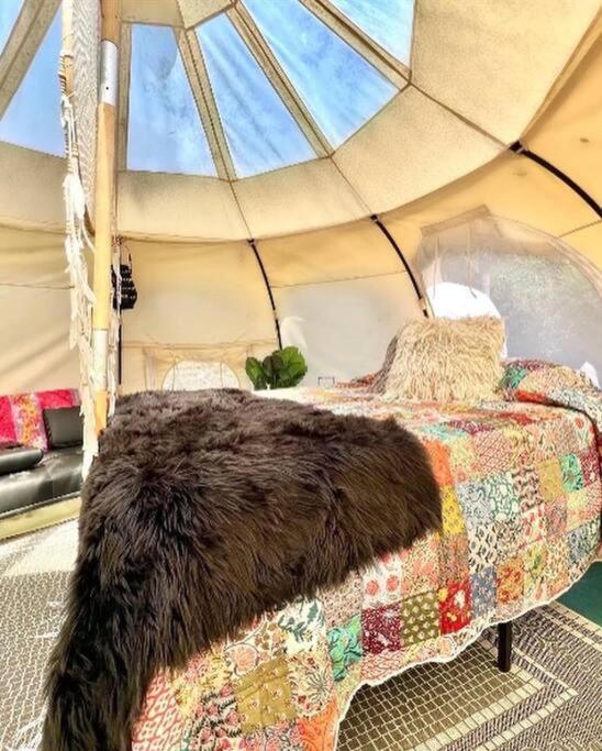 The Pisces-A Stargazing, Luxury Glamping Tent Rogersville Eksteriør billede
